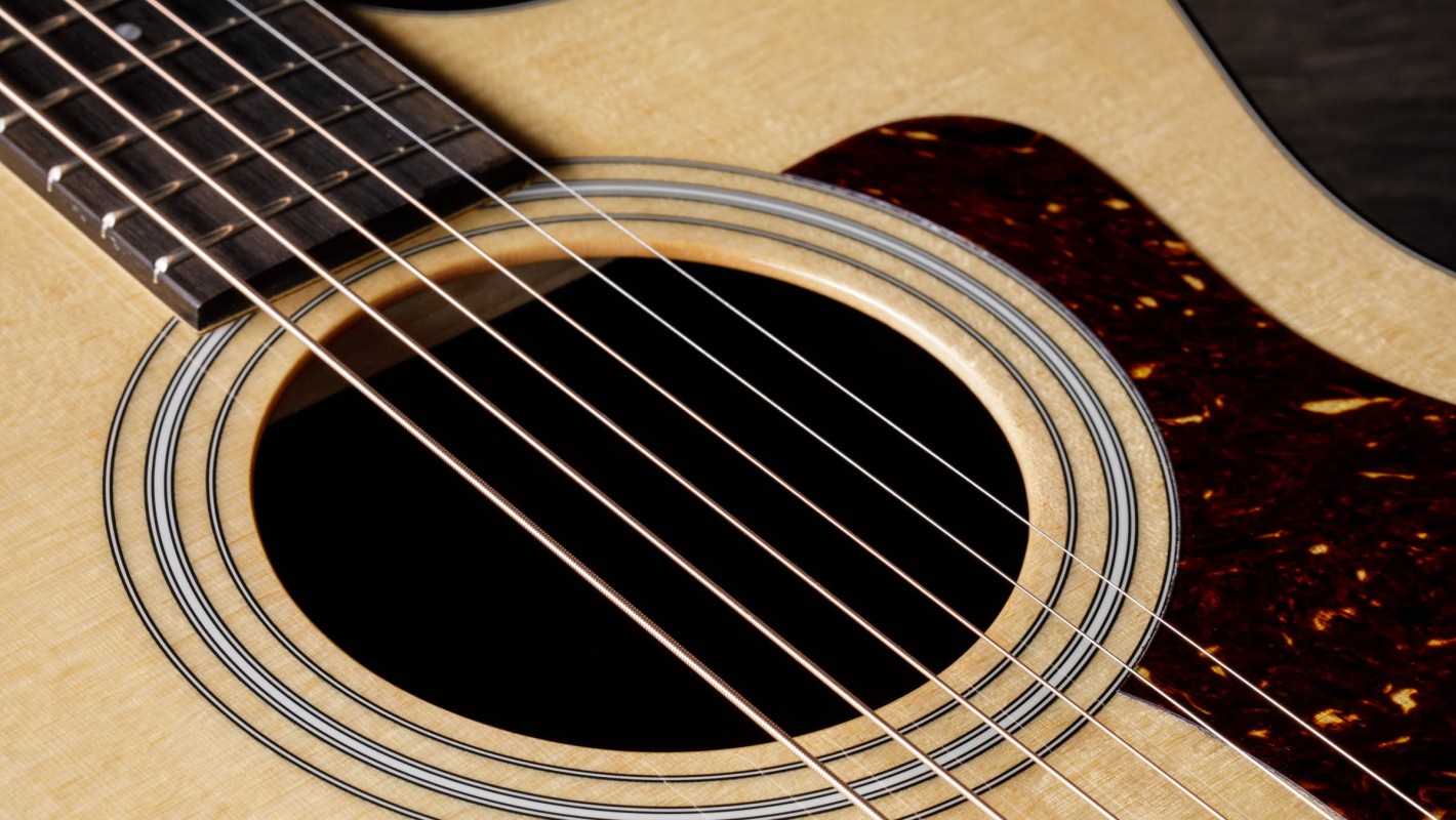 214ce Plus Layered Rosewood Acoustic-Electric Guitar | Taylor Guitars